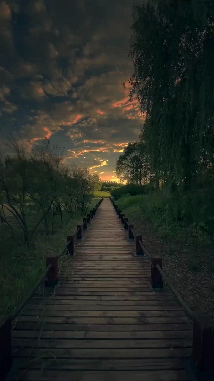 Timber Trail Tranquility Download Wallpapers