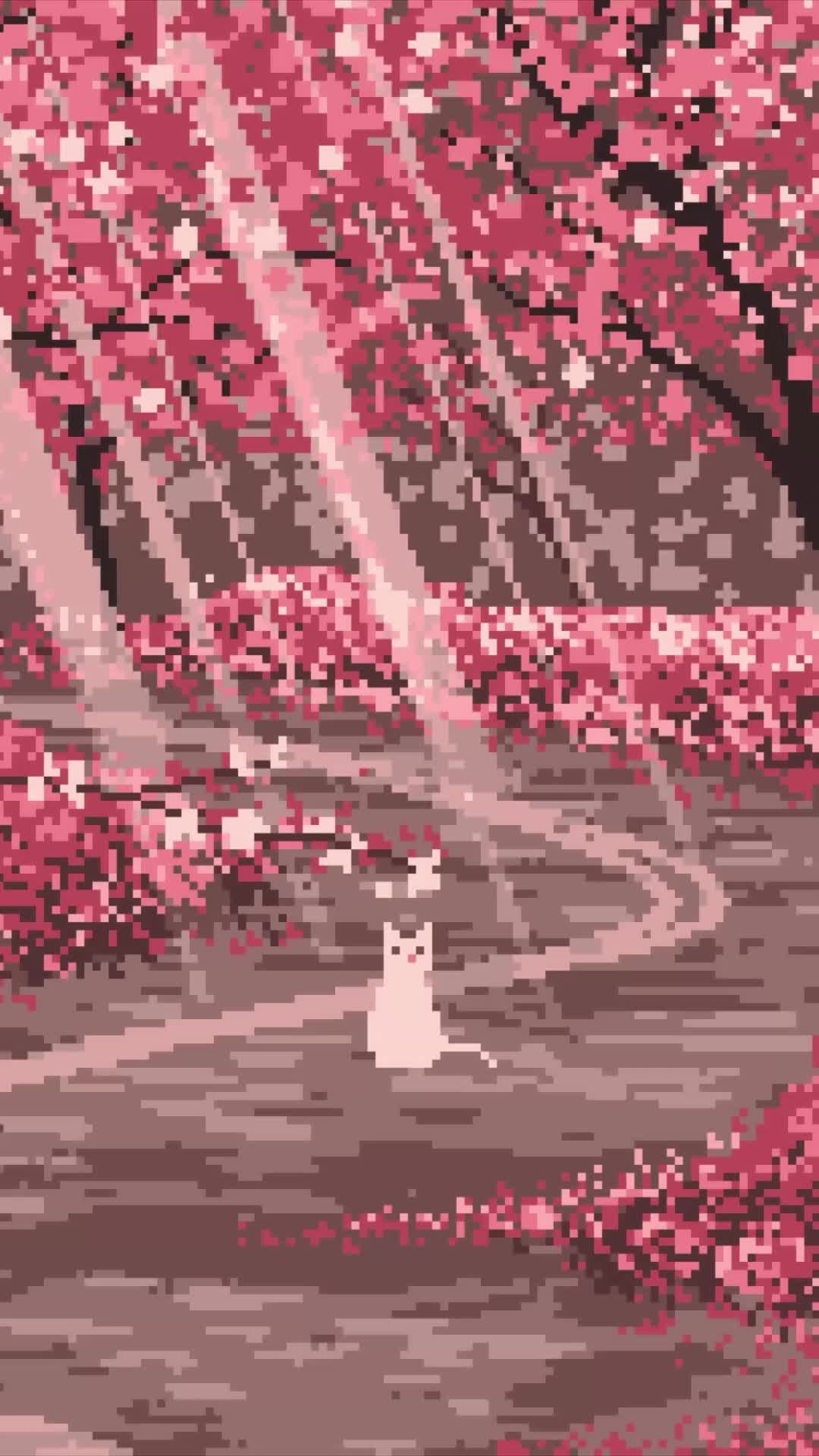 Midnight Stray Download Wallpapers