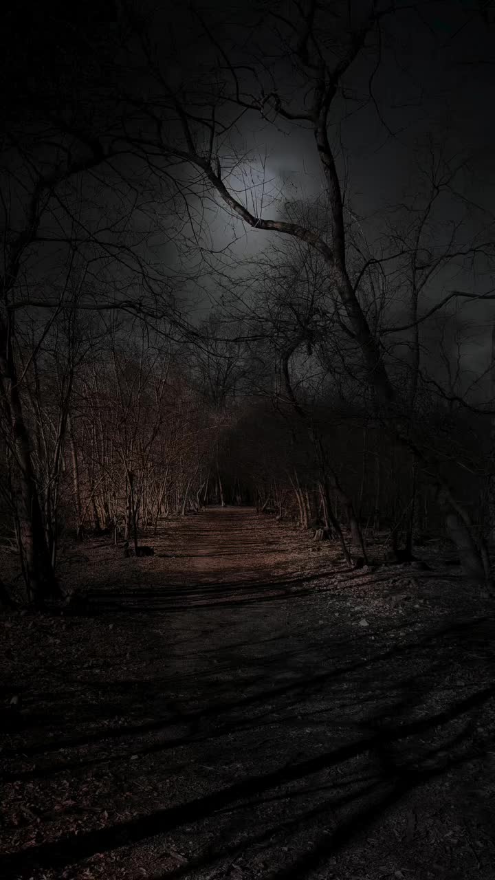 Mystical Moonlit Forest Glow Download Wallpapers