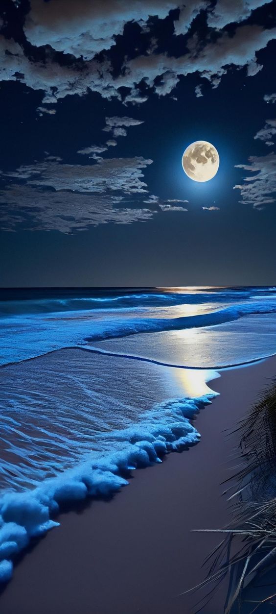 Blue moon Download Wallpapers