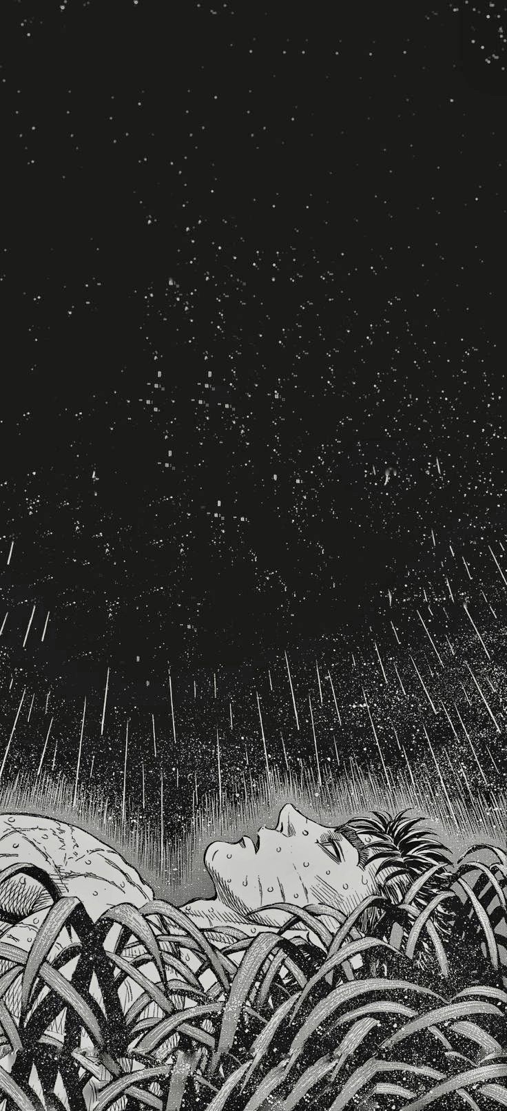 Night Sky Rain Grassy Scene Download Wallpapers