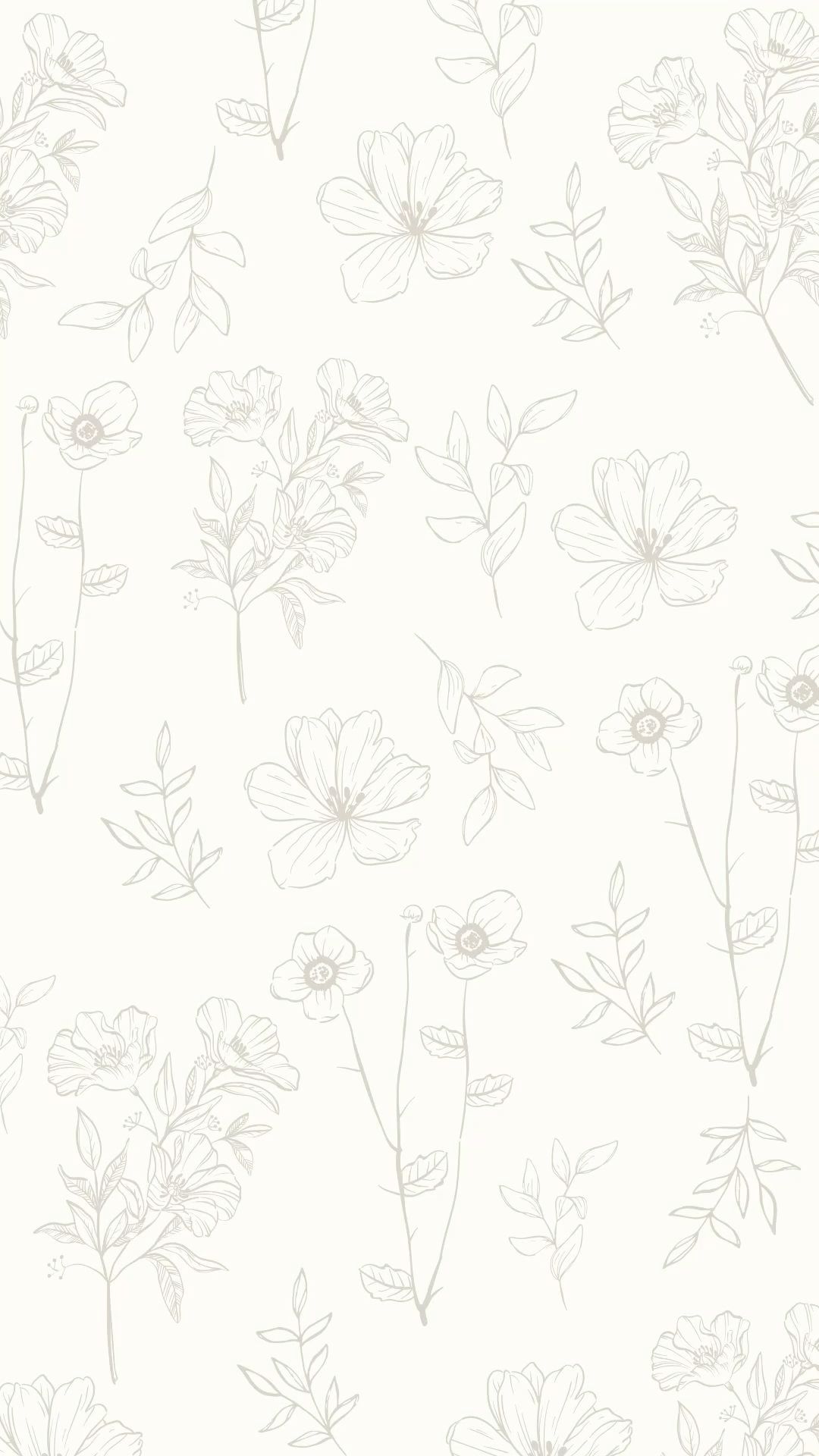 White Flowers Gray Line Design Download Wallpapers
