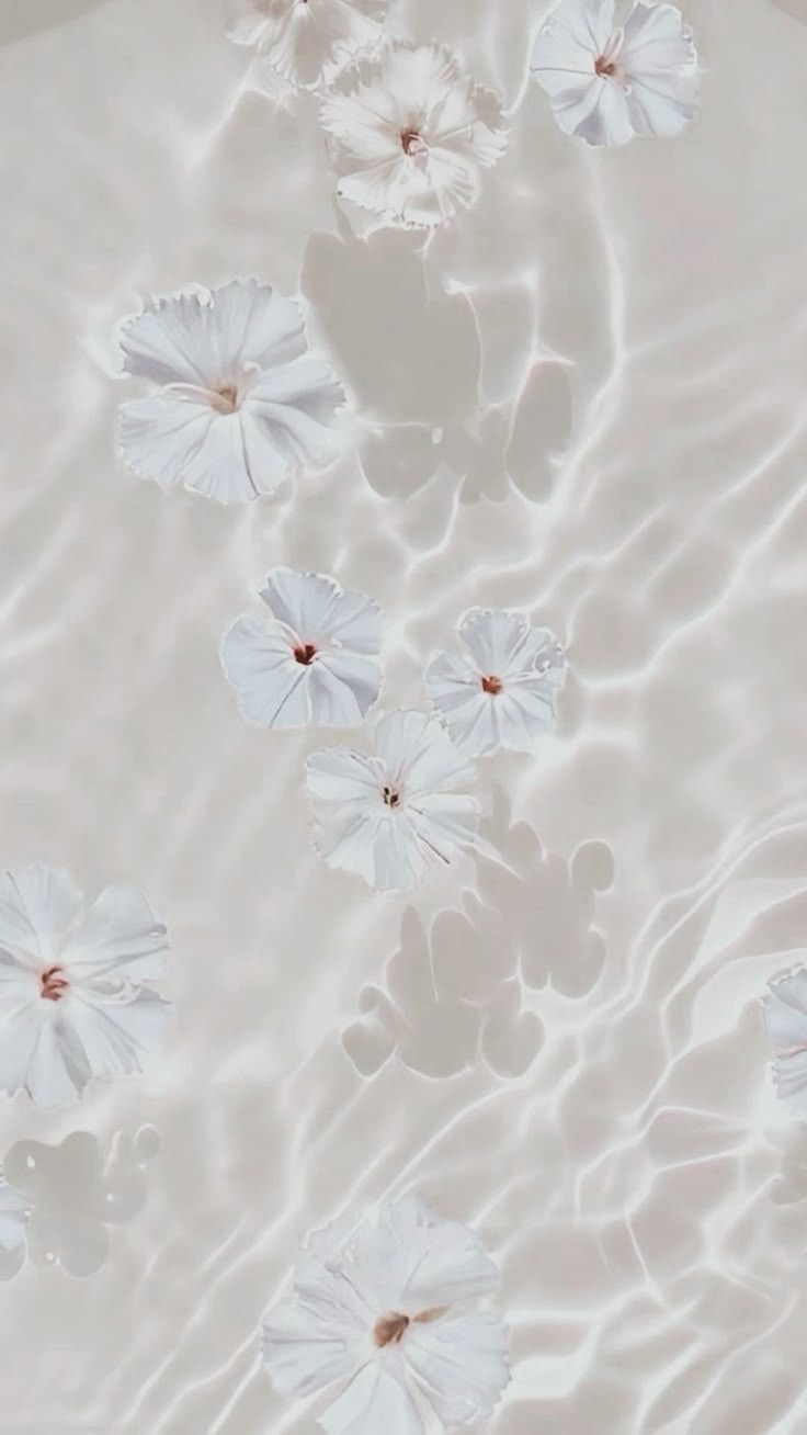 Minimal White Flower Abstract Design Download Wallpapers