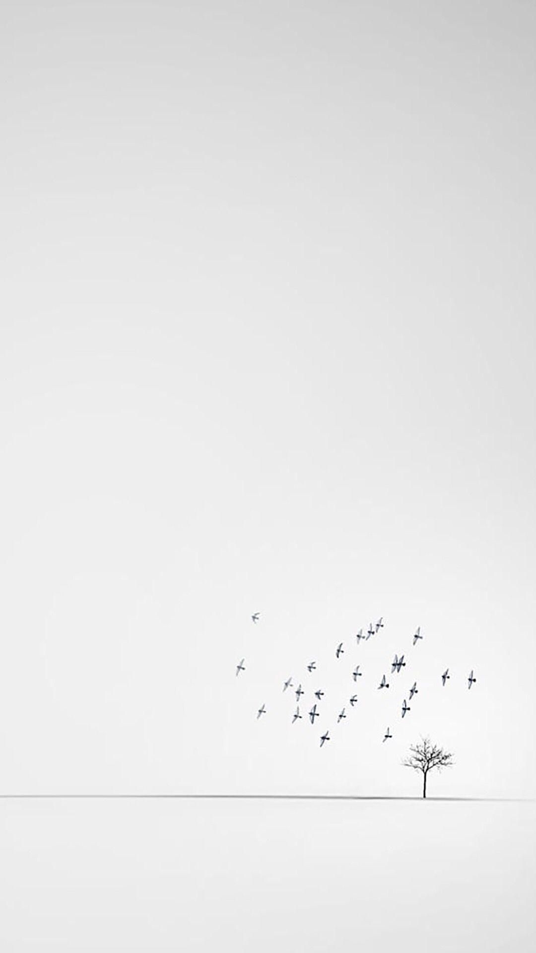 Pure White Minimalist Phone Background Download Wallpapers