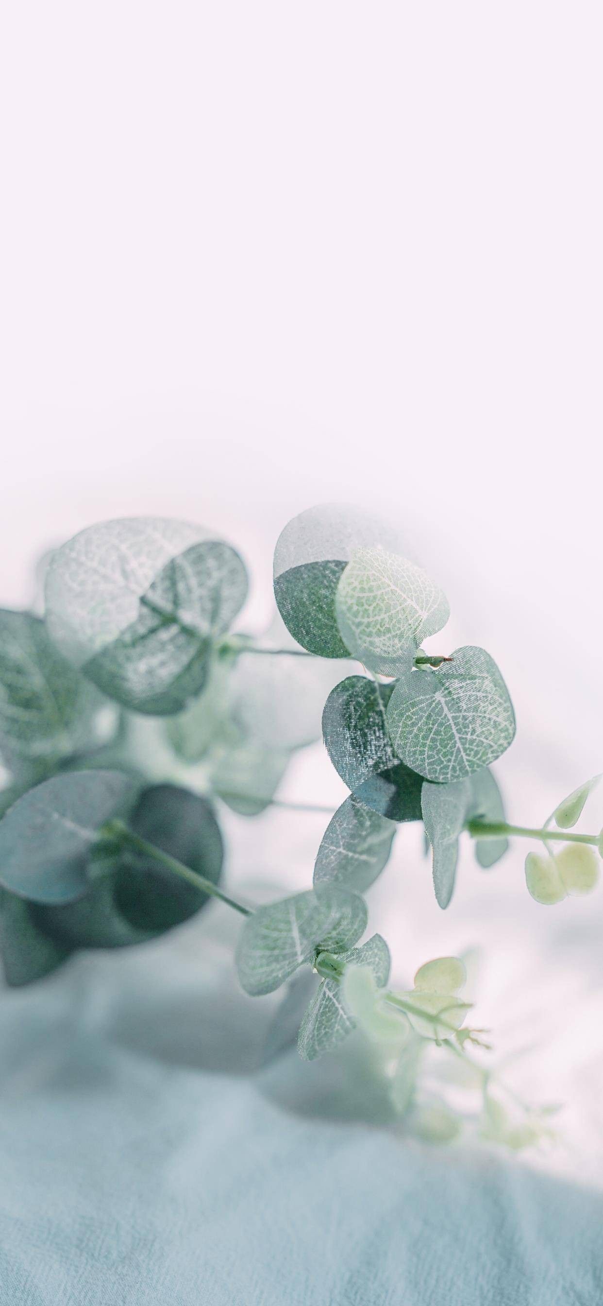 Blue Sheet with Green Leaves Download Wallpapers