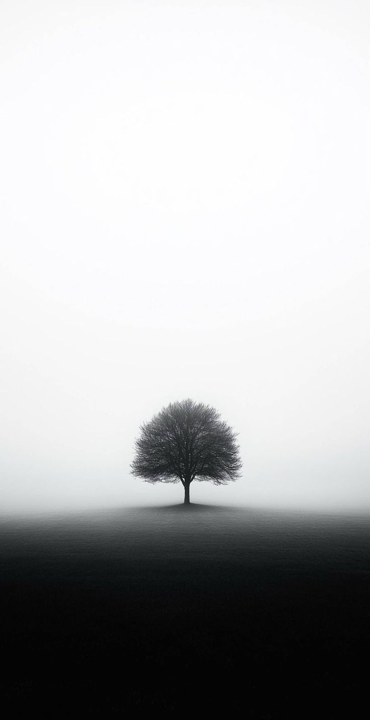 Foggy Field with Lone Tree Download Wallpapers
