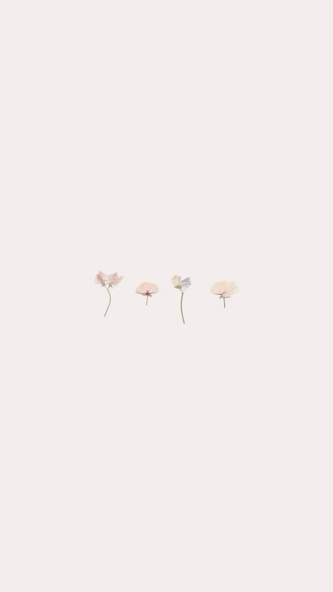 Minimalist Pink Gradient Design Download Wallpapers