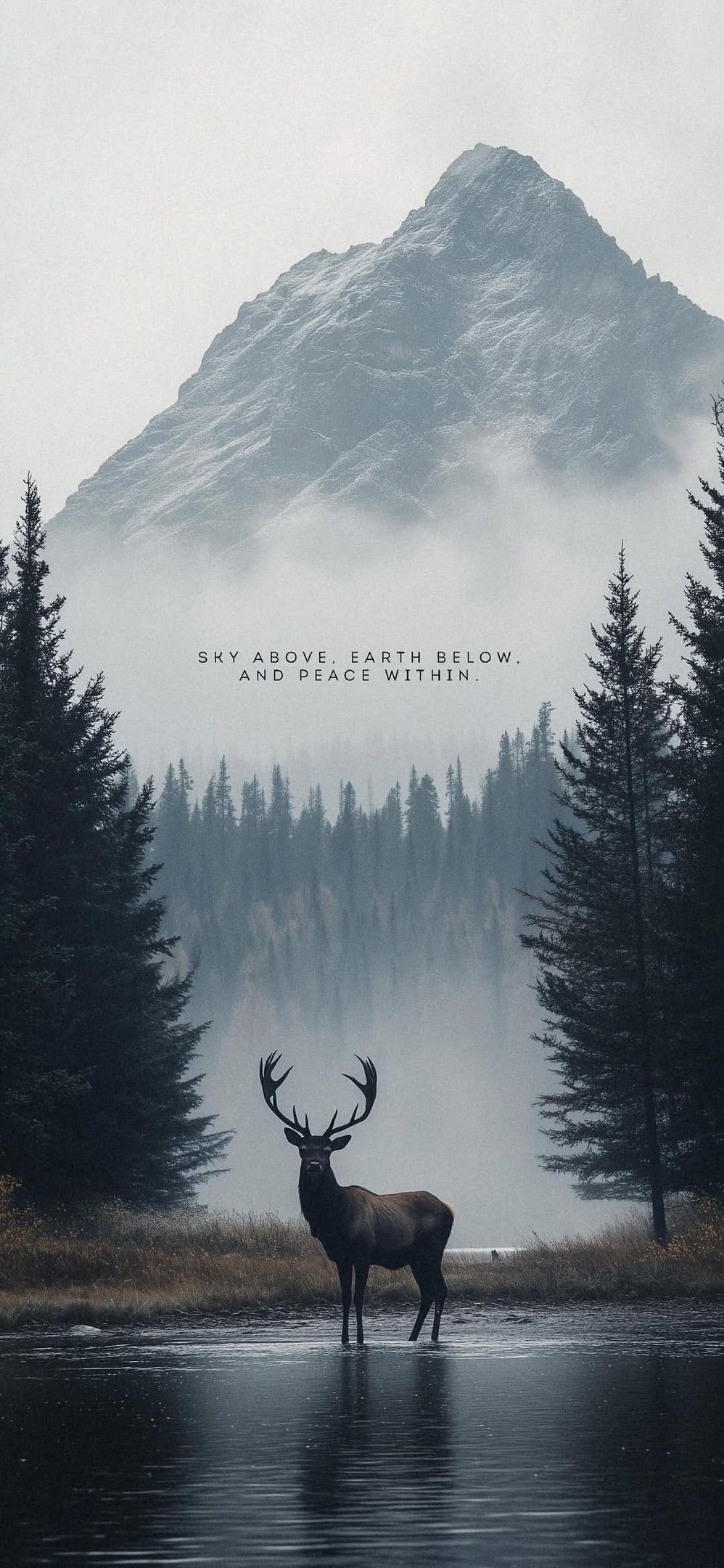 Minimalist Deer Lake Mountain Download Wallpapers