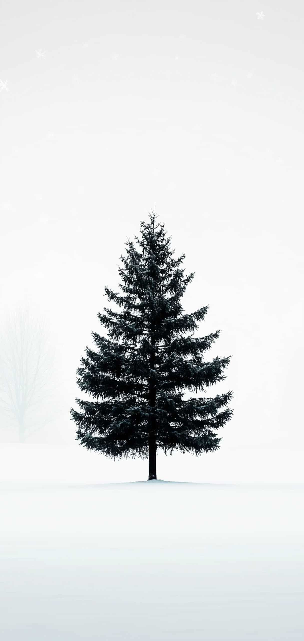 Simple Christmas Minimalist Designs Download Wallpapers