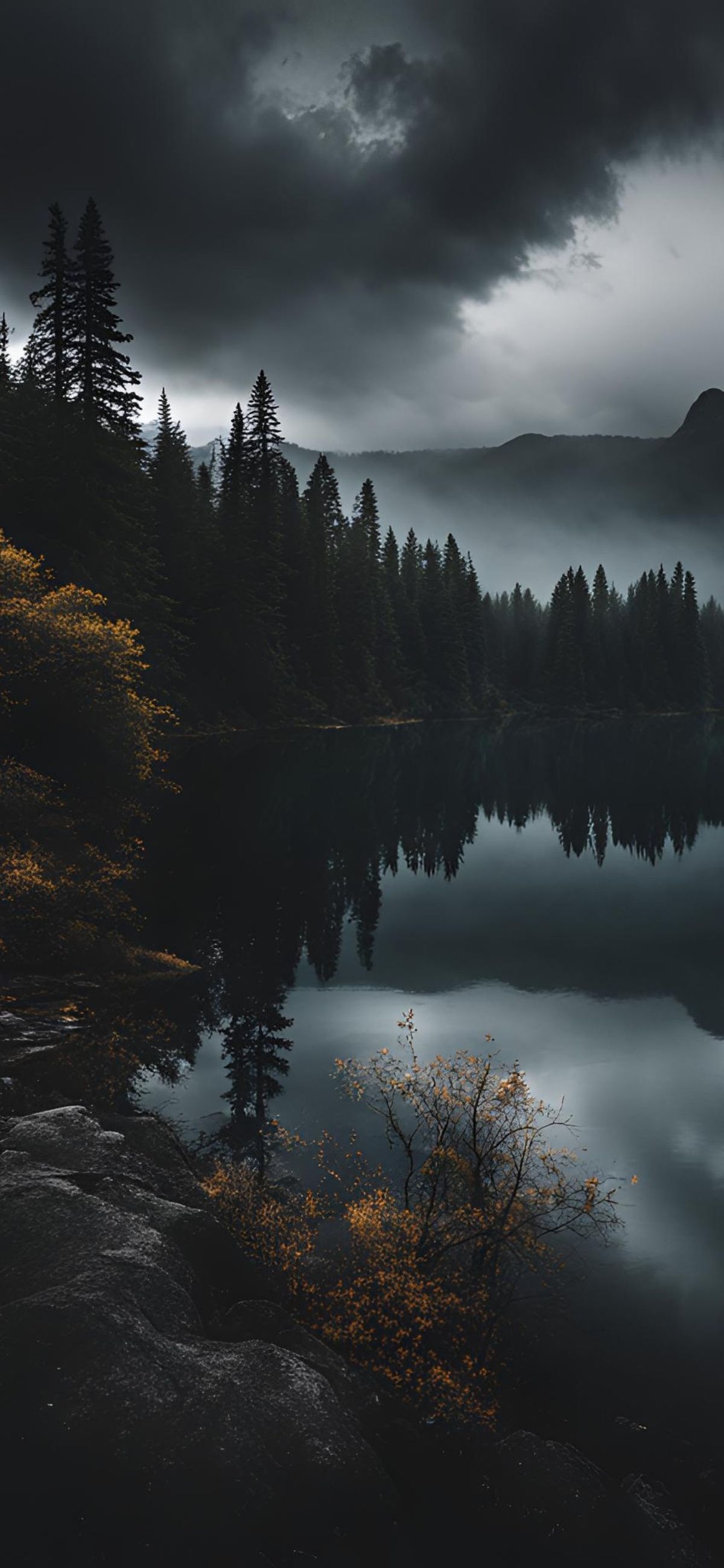 Misty Lake Forest Peaks Download Wallpapers