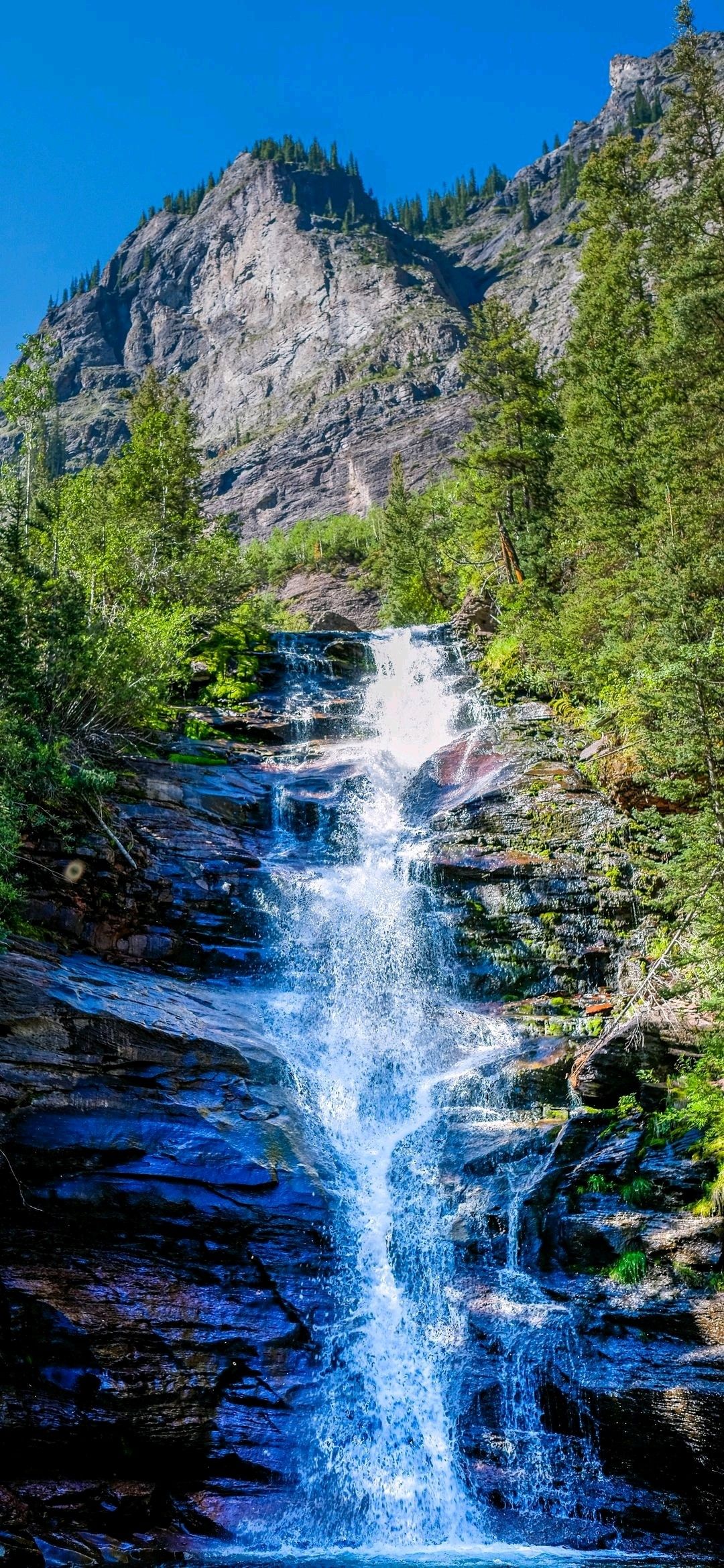Serene Forest Waterfall Scene Download Wallpapers