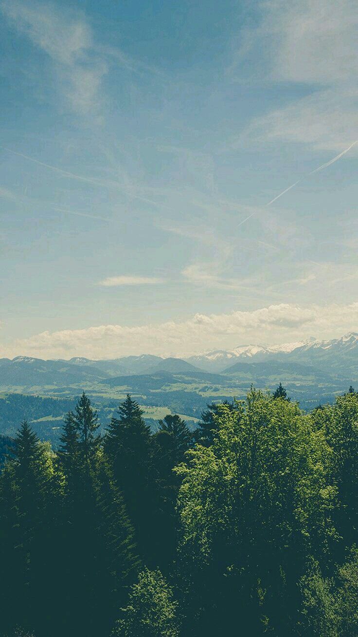 Misty Forest Mountain Panorama Download Wallpapers