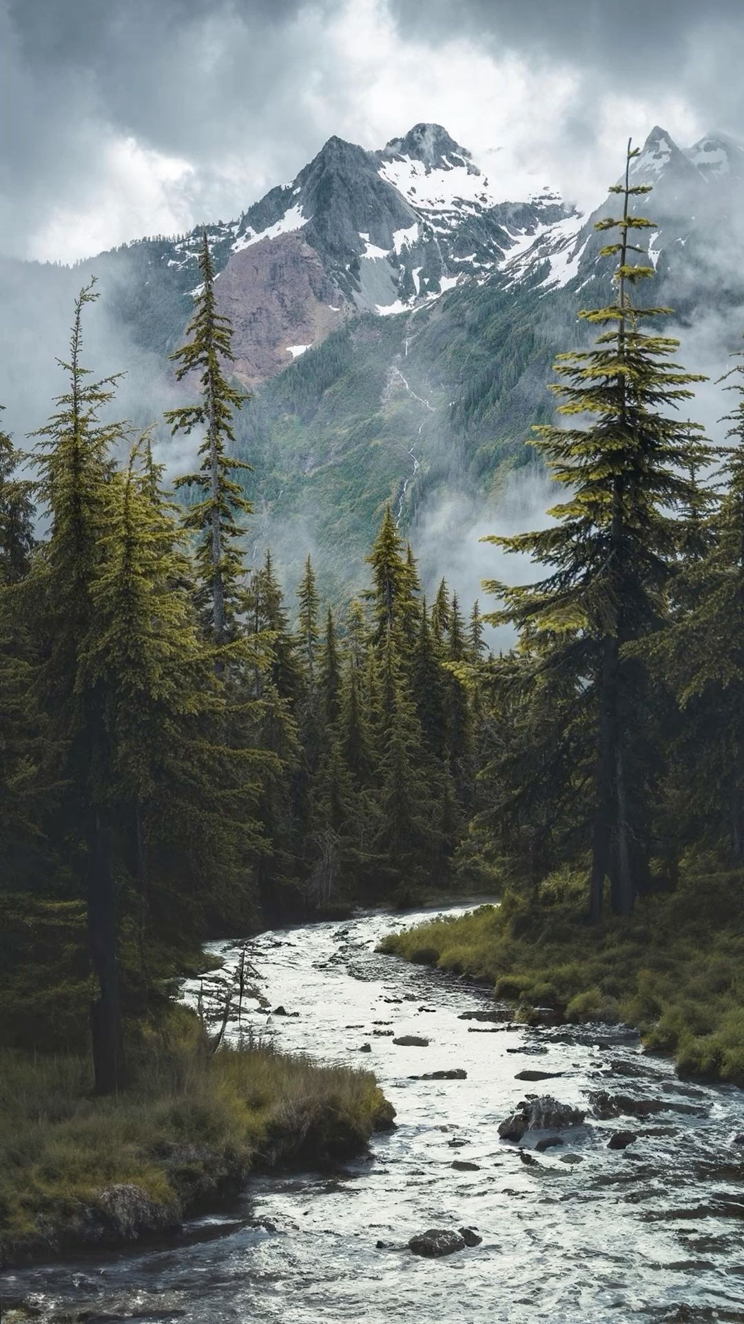 Mountain River in Snowy Forest Download Wallpapers