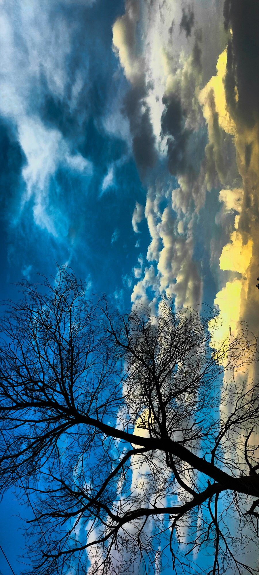 Serene Blue Skies Download Wallpapers