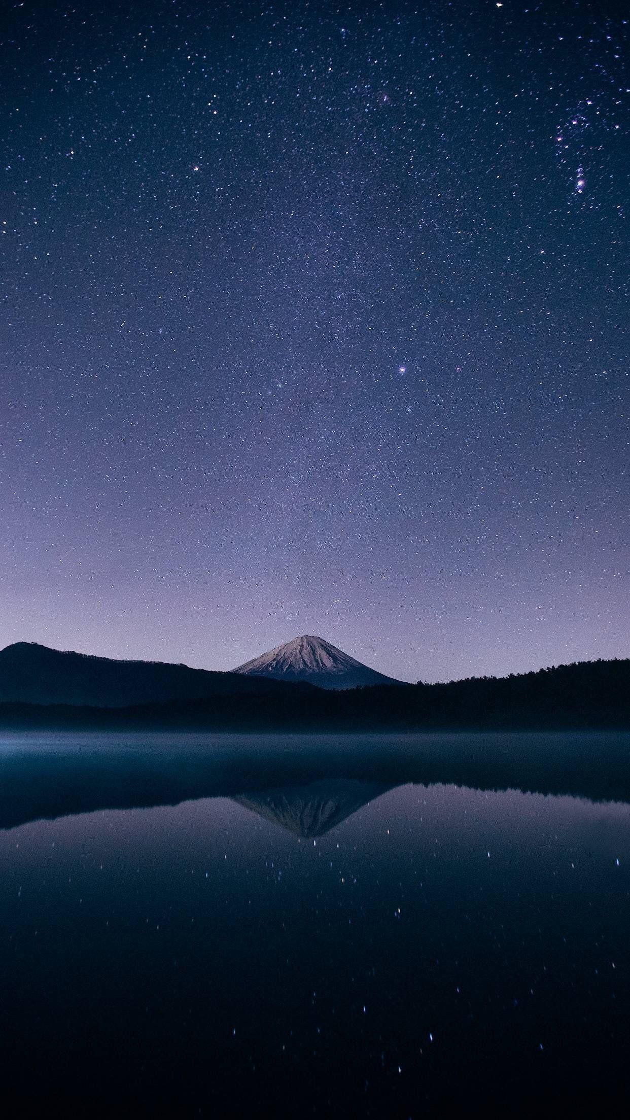 Serene Forest Glow Download Wallpapers