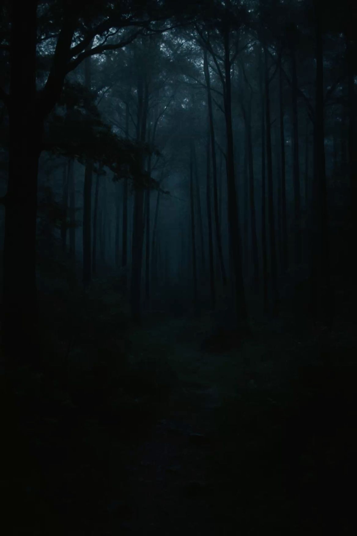 Mystical Dark Forest Night Download Wallpapers