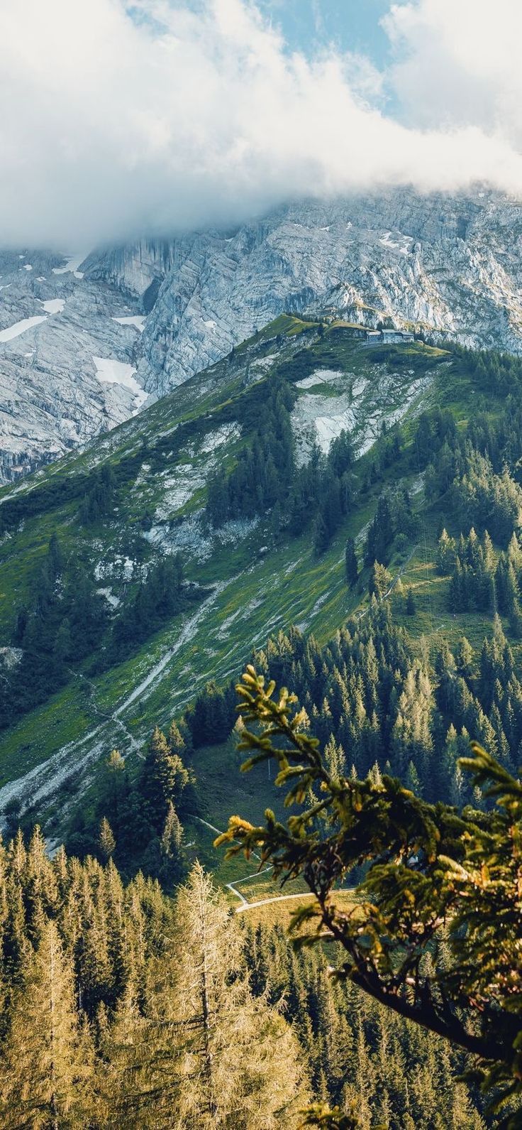 Snowy Peaks and Verdant Pines Download Wallpapers