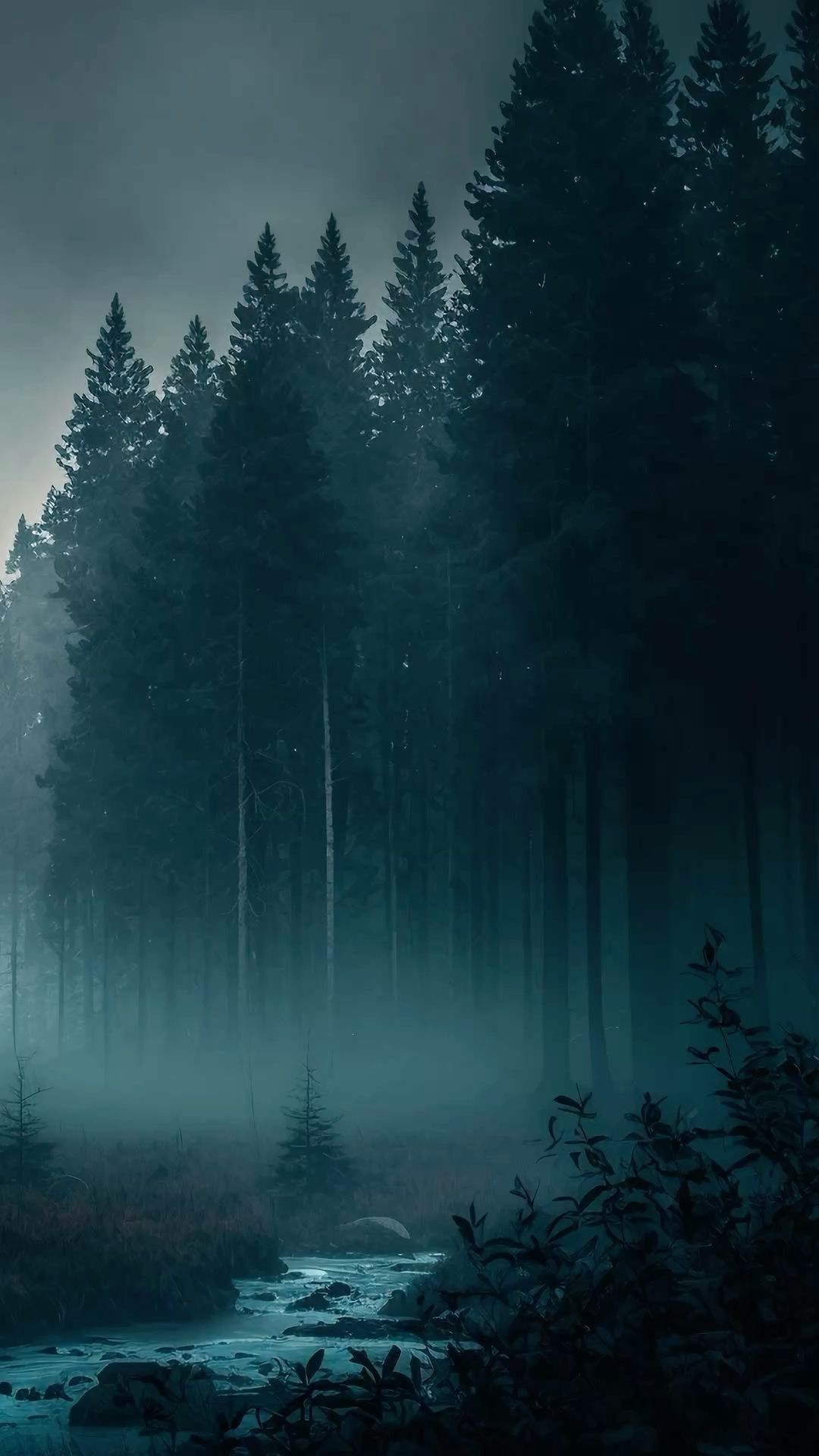 Misty Forest Nightscape Download Wallpapers