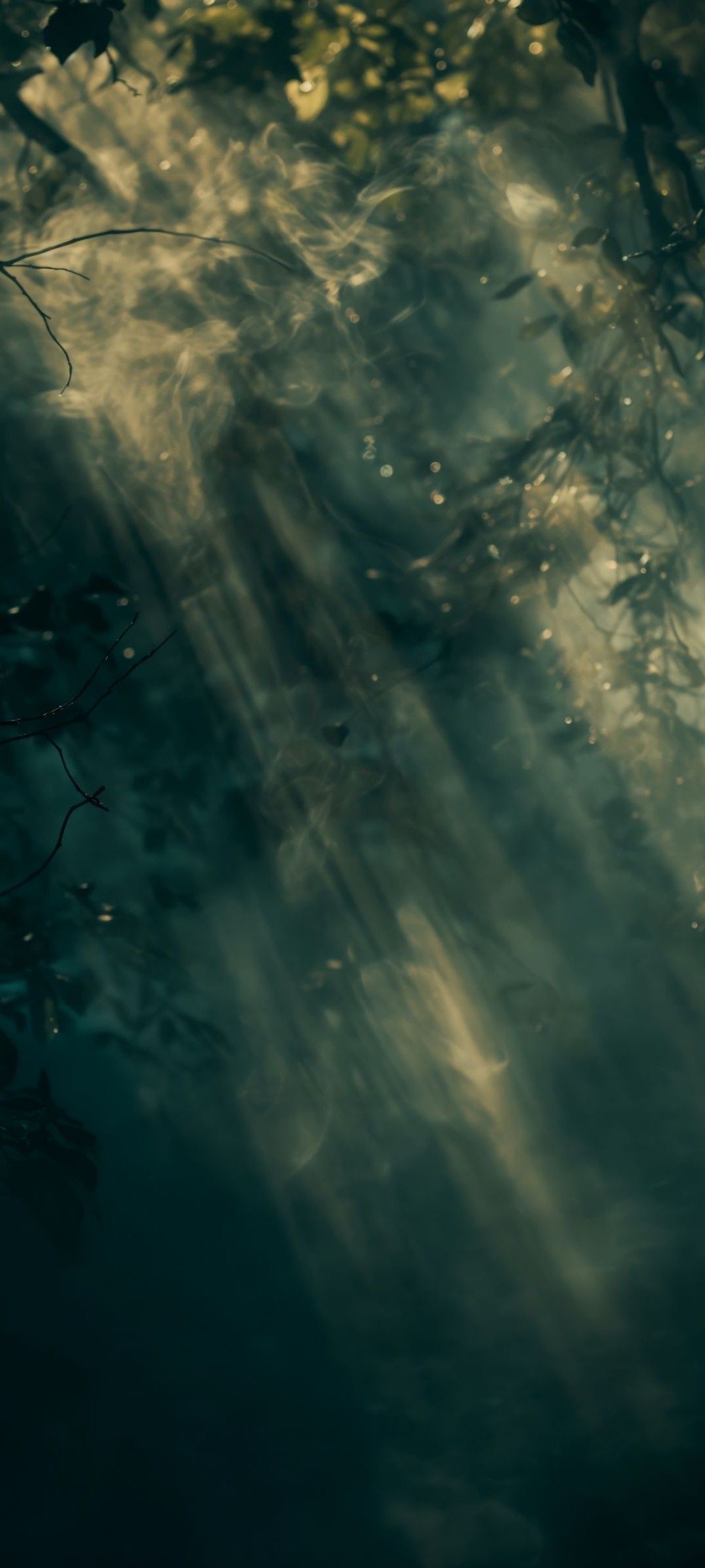 Serene Forest Streamscape Download Wallpapers