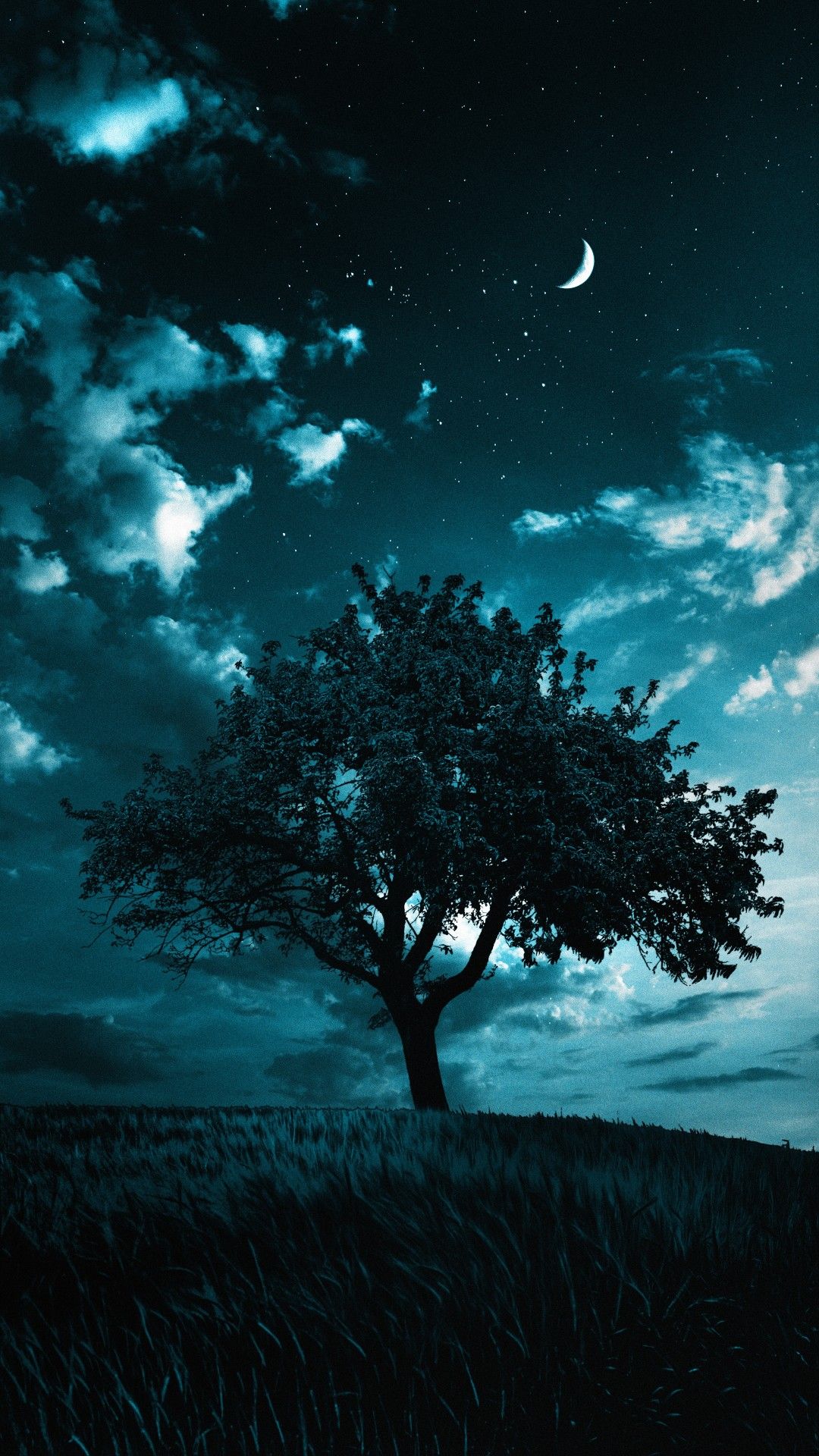 Night Sky Over Serene Landscape Download Wallpapers