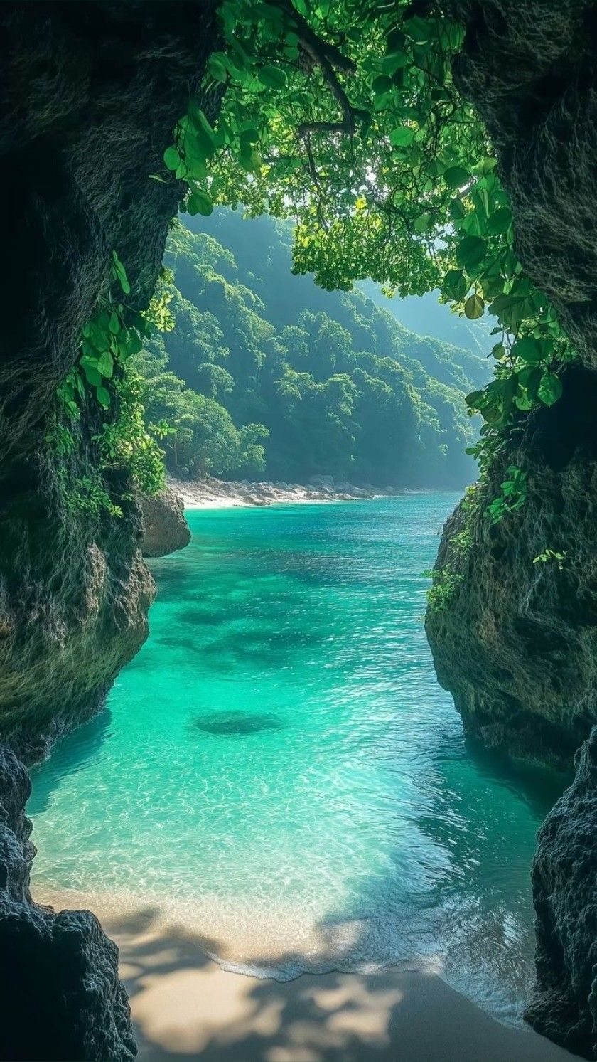 Serene Cave with Forest Reflections Download Wallpapers