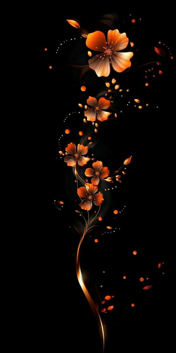 Orange flower Download Wallpapers