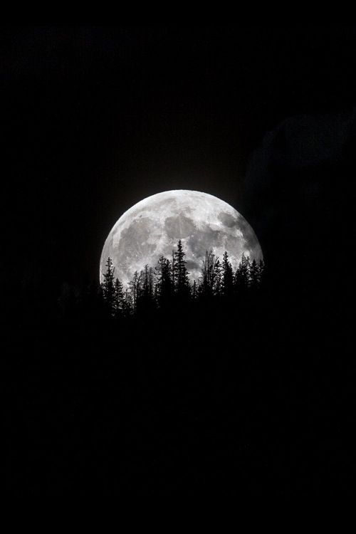 Moon Download Wallpapers