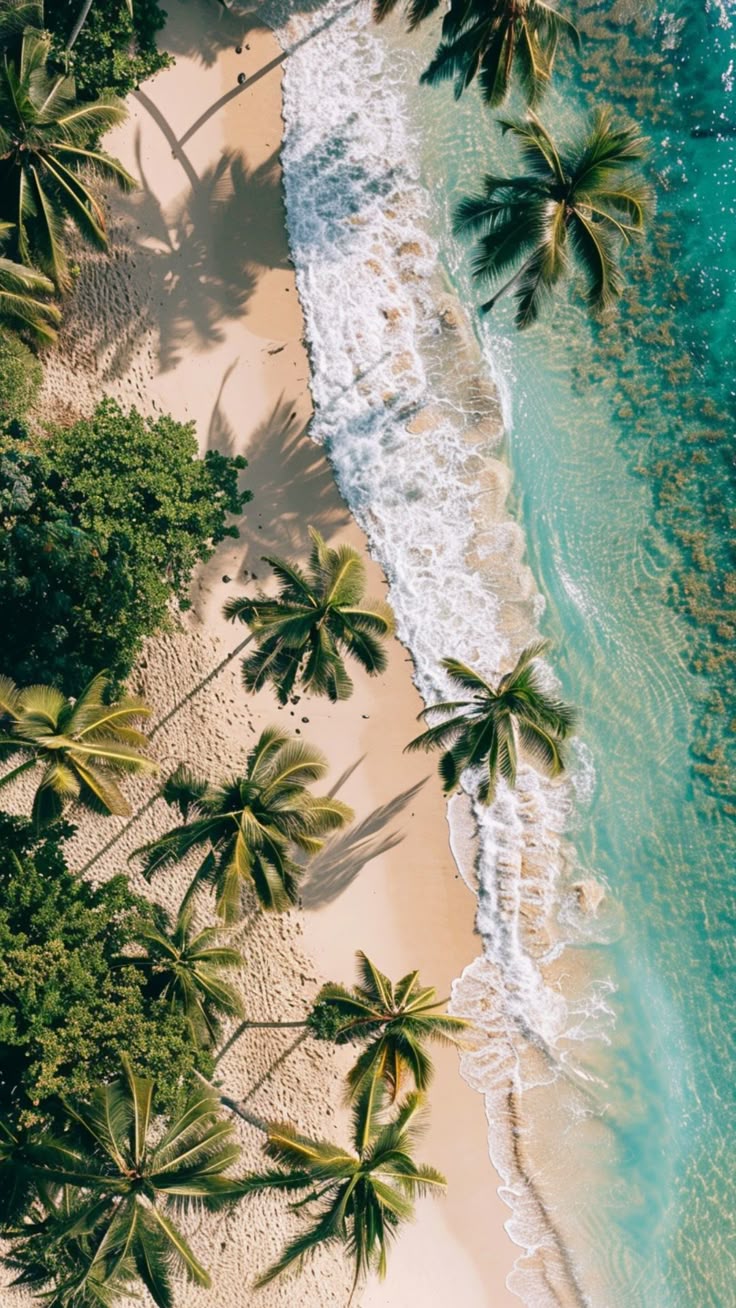 Beach Download Wallpapers