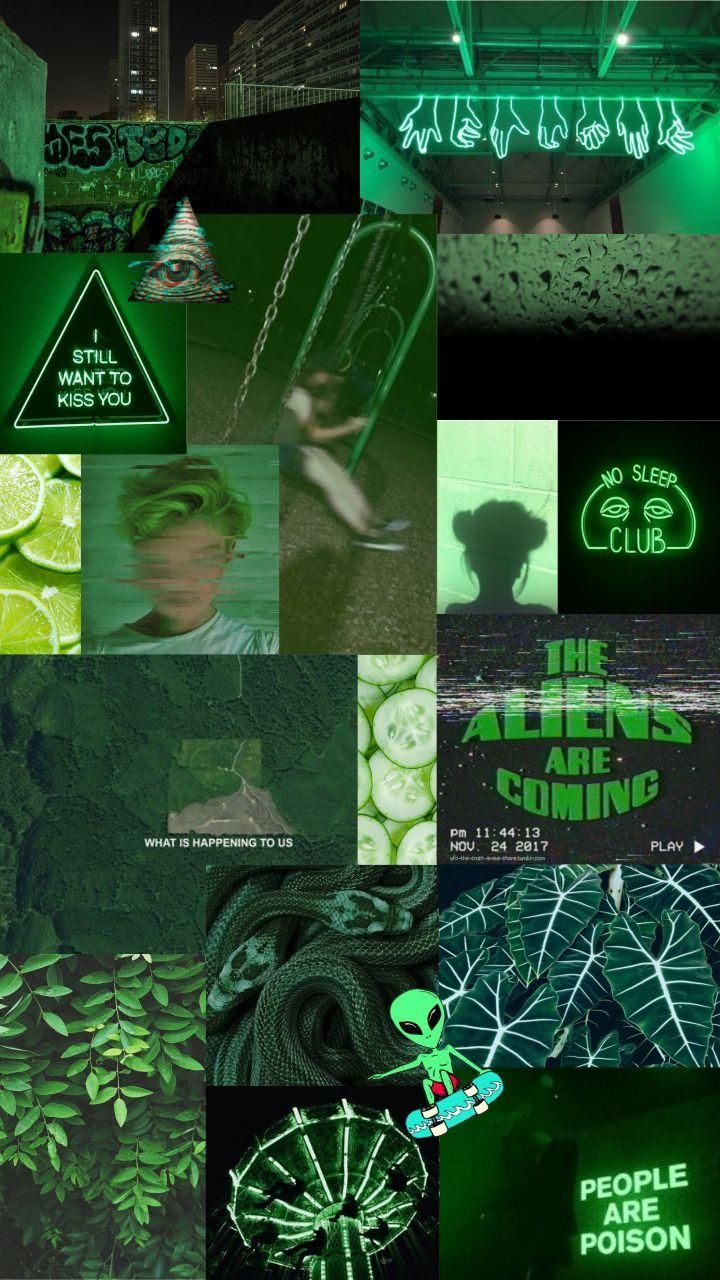 Green Download Wallpapers