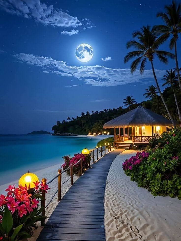 Beach walkway Download Wallpapers