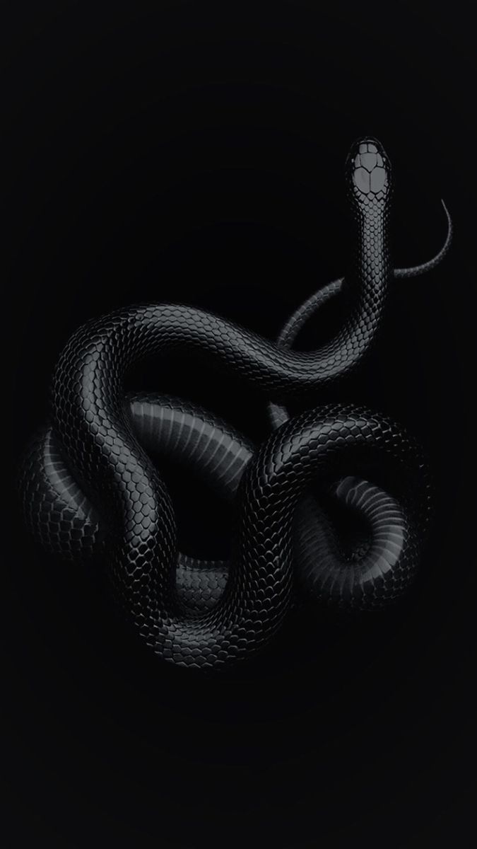 Snake Download Wallpapers