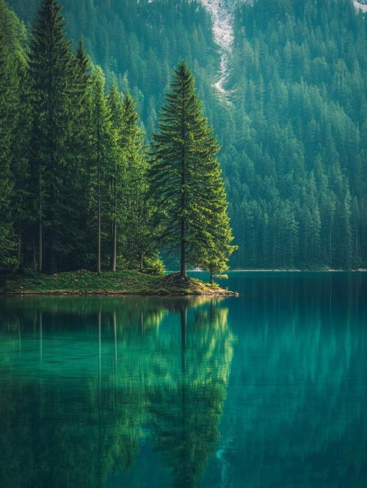View Download Wallpapers