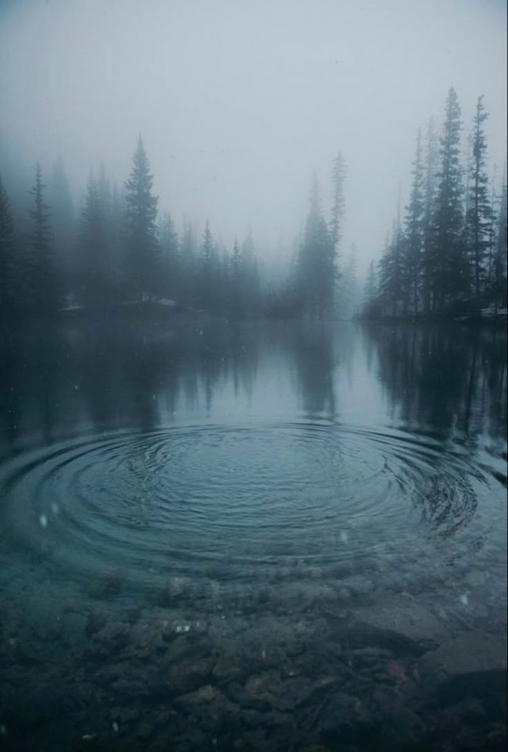 Foggy lake Download Wallpapers