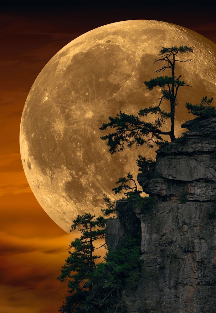 Moon Download Wallpapers