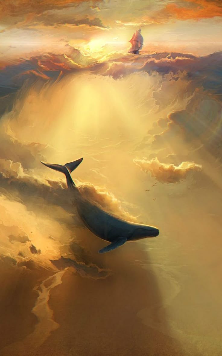 Whale in the sky Download Wallpapers