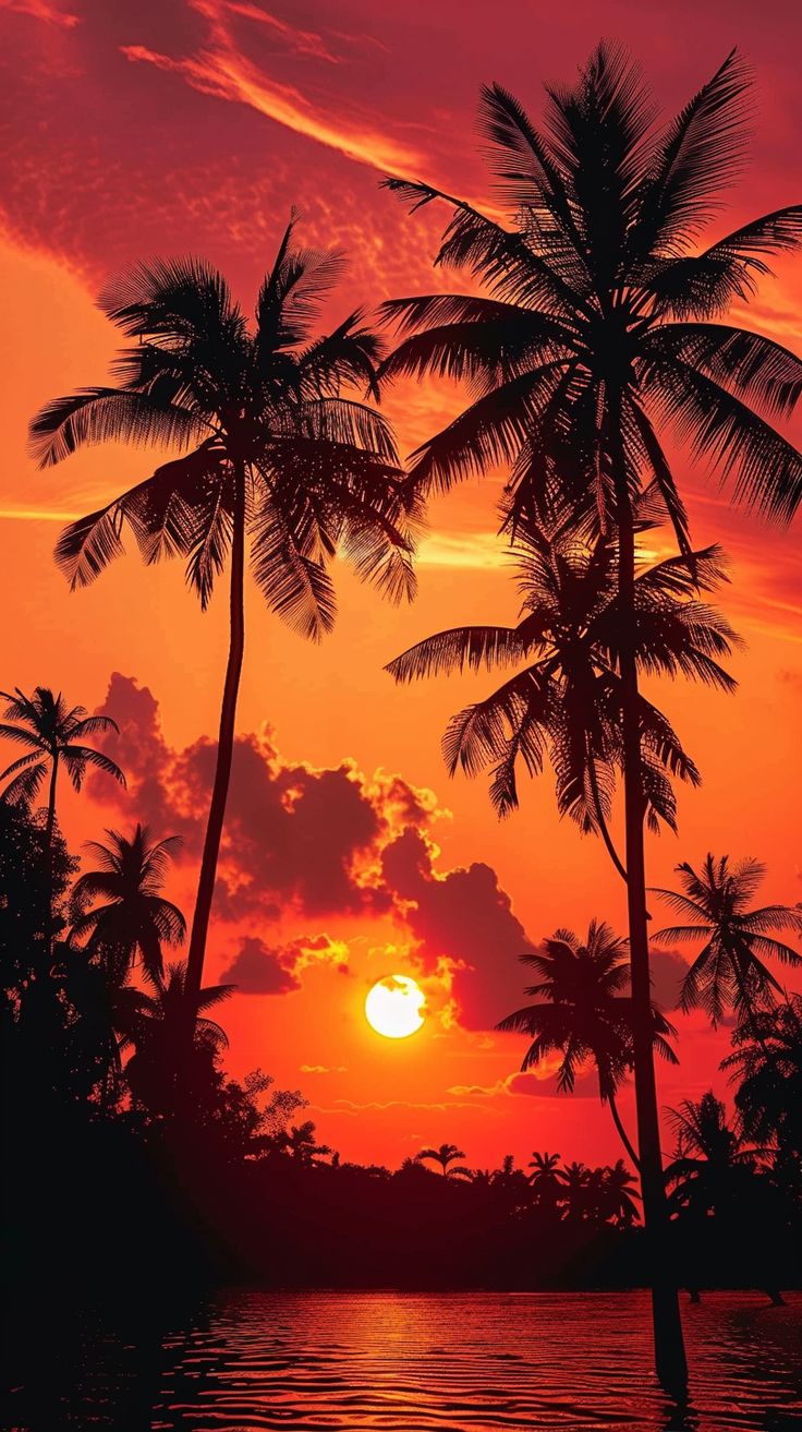 Download Wallpapers