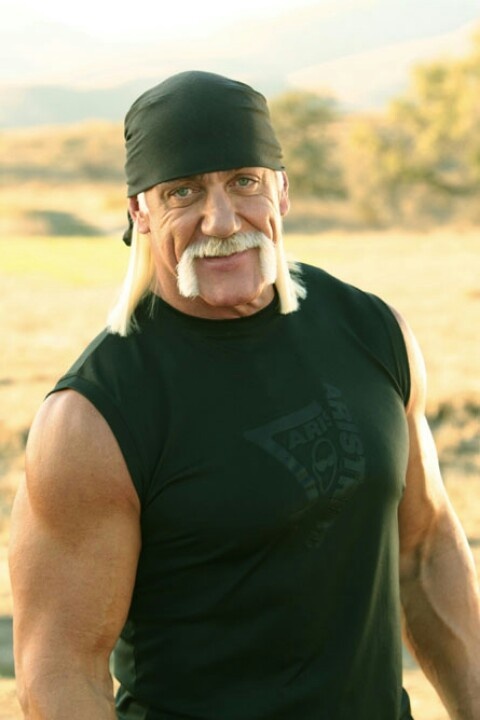 Hulk Hogan Download Wallpapers