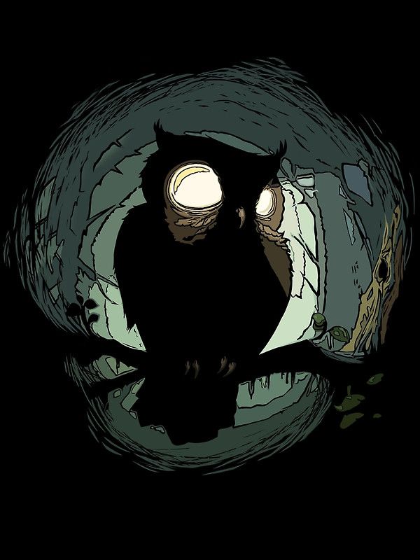 Owl Download Wallpapers