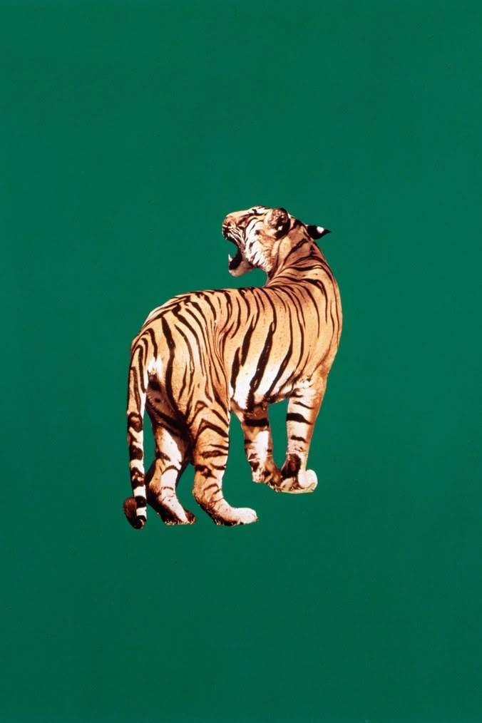 Wallpaper Download Wallpapers