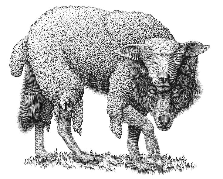 Wolf in sheep clothing Download Wallpapers