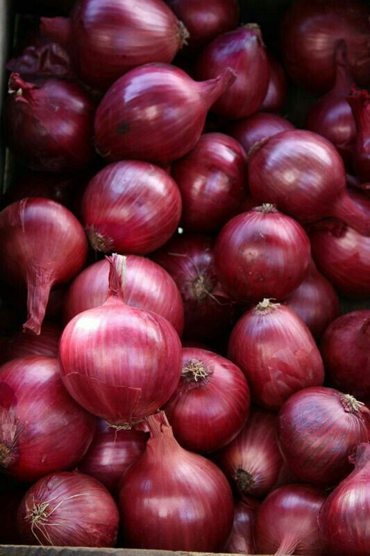 Onions Download Wallpapers