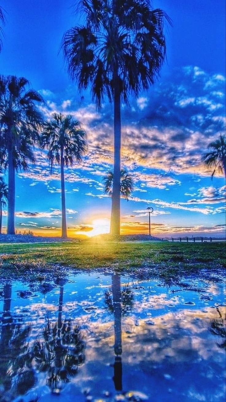 View Download Wallpapers