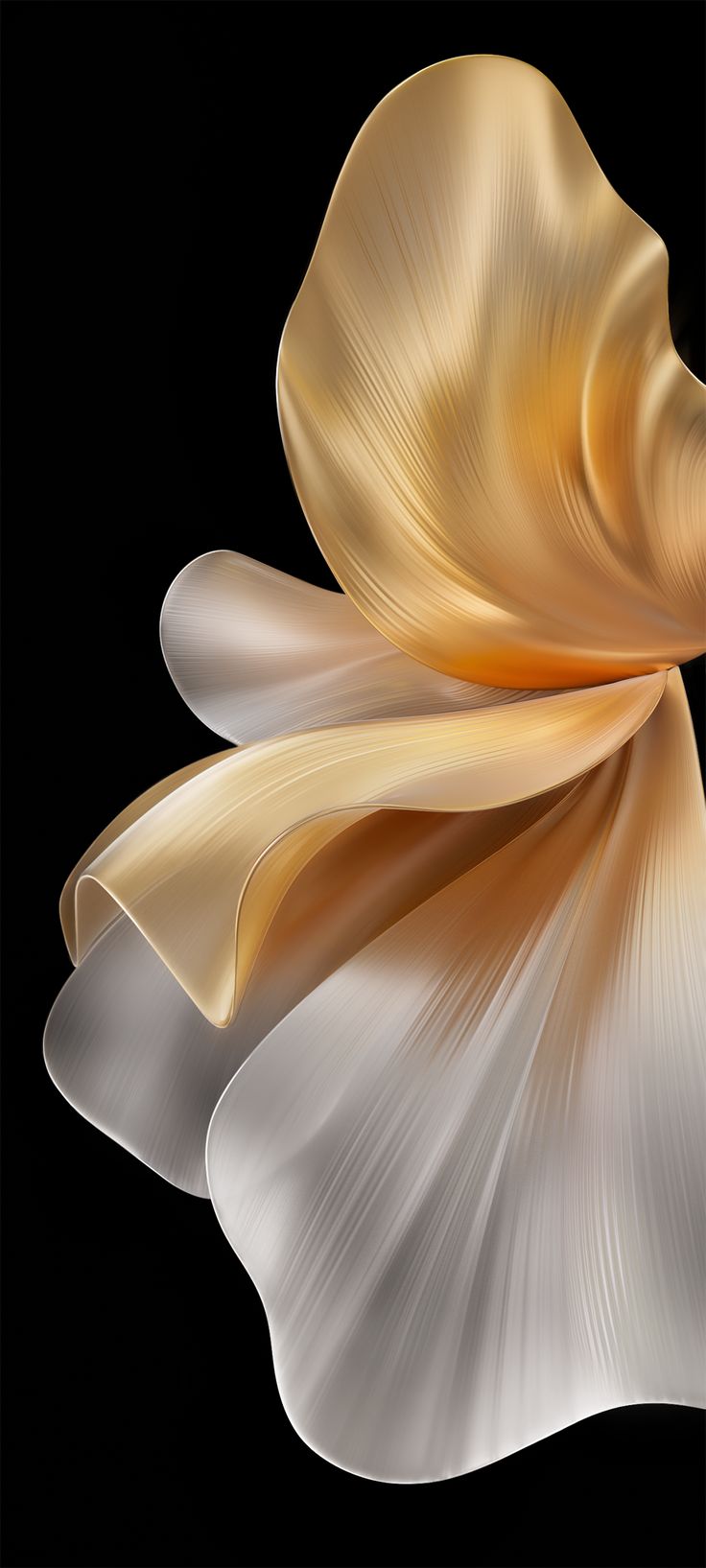 Flower Download Wallpapers