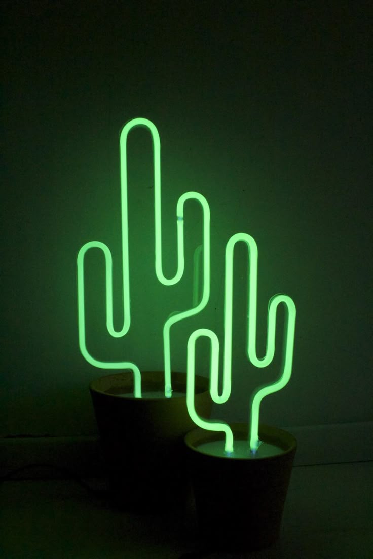 Cactus Download Wallpapers