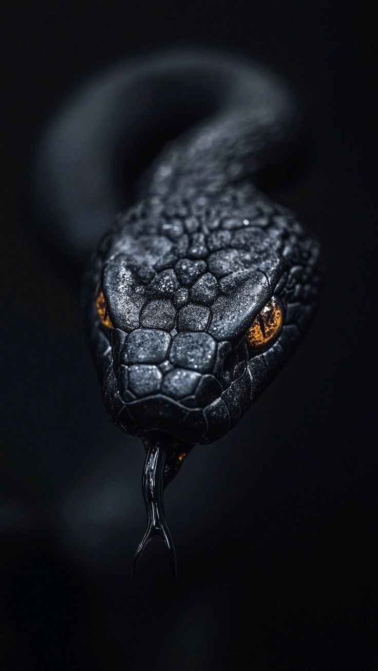 Black Snake Download Wallpapers
