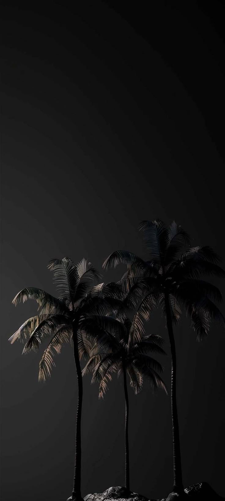 Palm Tree Download Wallpapers