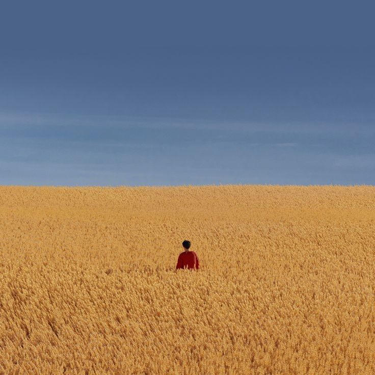 Wandering Download Wallpapers