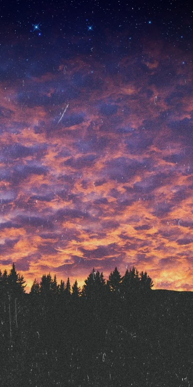 Trees Download Wallpapers