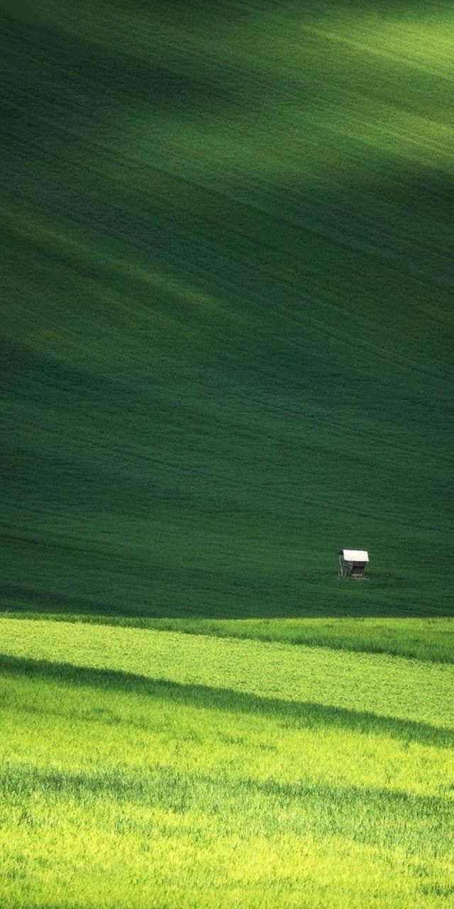 Field Download Wallpapers