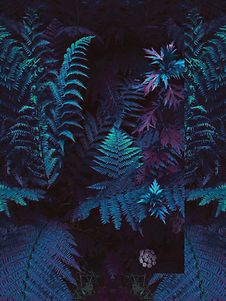 Trees Download Wallpapers